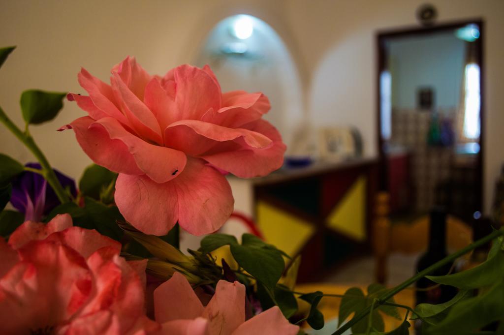 Agathi Beach House آغيوس غوذيوس المظهر الخارجي الصورة